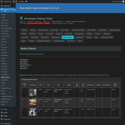 Page screenshot: Developer Debug Tools &rarr; Media Library
