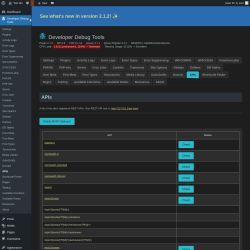 Page screenshot: Developer Debug Tools &rarr; APIs