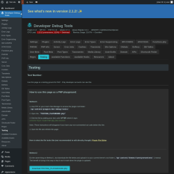 Page screenshot: Developer Debug Tools &rarr; Testing