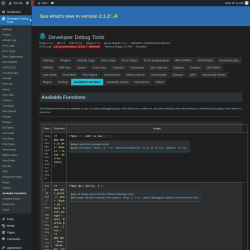 Page screenshot: Developer Debug Tools &rarr; Available Functions