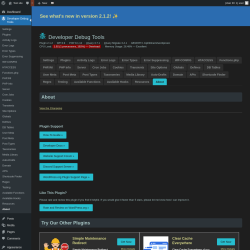 Page screenshot: Developer Debug Tools &rarr; About