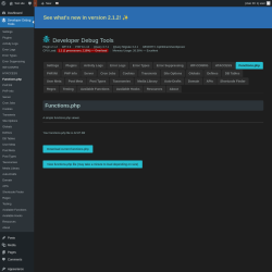 Page screenshot: Developer Debug Tools &rarr; Functions.php