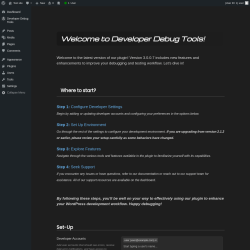 Page screenshot: Developer Debug Tools &rarr; Changelog