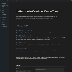 Page screenshot: Developer Debug Tools &rarr; Tools