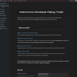 Page screenshot: Developer Debug Tools &rarr; Tools