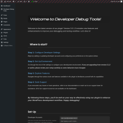 Page screenshot: Developer Debug Tools &rarr; Resources