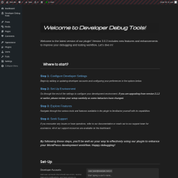 Page screenshot: Developer Debug Tools &rarr; Settings