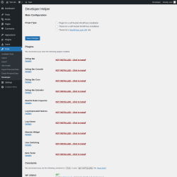 Page screenshot: Tools → Developer
