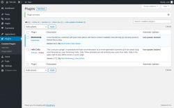 Page screenshot: Plugins &lsaquo; Test site &mdash; WordPress