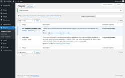 Page screenshot: Plugins ‹ Test site — WordPress