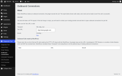Page screenshot: Diagnostic Tool &rarr; Outbound Connections