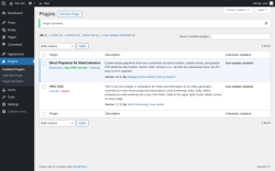 Page screenshot: Plugins &lsaquo; Test site &mdash; WordPress