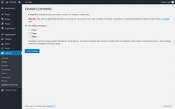 Page screenshot: Settings &rarr; Disable Comments
