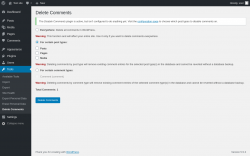 Page screenshot: Tools &rarr; Delete Comments
