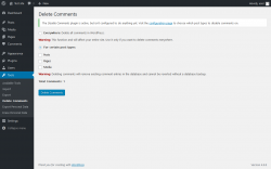 Page screenshot: Tools &rarr; Delete Comments
