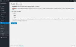 Page screenshot: Settings &rarr; Disable Comments