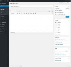 Page screenshot: Posts &rarr; Add New (Classic)
