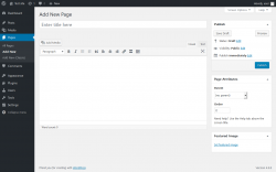 Page screenshot: Pages &rarr; Add New (Classic)