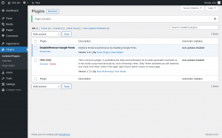 Page screenshot: Plugins &lsaquo; Test site &mdash; WordPress