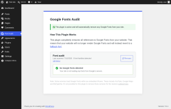 Page screenshot: Google Fonts Audit &lsaquo; Test site &mdash; WordPress