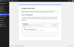 Page screenshot: Font Audit