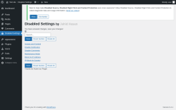 Page screenshot: Disabled Settings