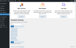 Page screenshot: Disabled Settings