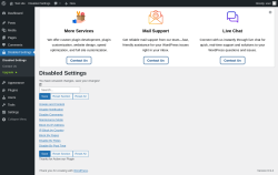 Page screenshot: Disabled Settings