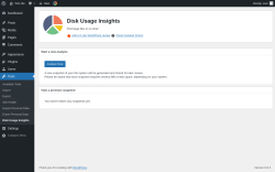 Page screenshot: Tools → Disk Usage Insights
