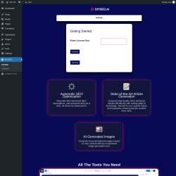 Page screenshot: DIYSEO