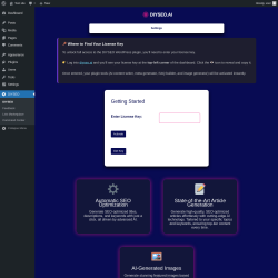 Page screenshot: DIYSEO