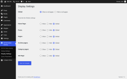 Page screenshot: DIYVA Voice Survey &rarr; Display Settings
