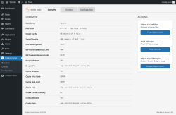 Page screenshot: Docket Cache → Cronbot → Overview