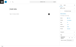 Page screenshot: Add Post &lsaquo; Test site &mdash; WordPress