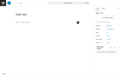 Page screenshot: Add Page &lsaquo; Test site &mdash; WordPress