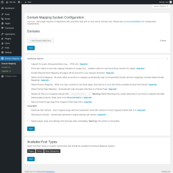 Page screenshot: Domain Mapping