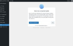 Page screenshot: Domain Mapping ‹ Test site — WordPress
