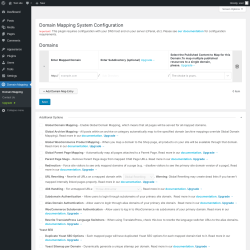 Page screenshot: Domain Mapping