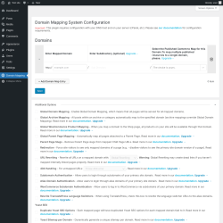 Page screenshot: Domain Mapping