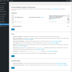 Page screenshot: Domain Mapping