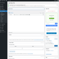 Page screenshot: Downloads → Add New File
