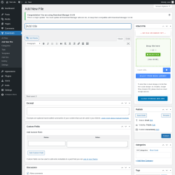 Page screenshot: Downloads &rarr; Add New File