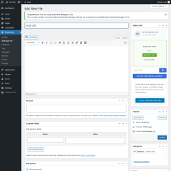 Page screenshot: Downloads &rarr; Add New File