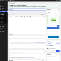 Page screenshot: Downloads &rarr; Add New File