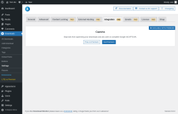 Page screenshot: Downloads → Settings → Integration PAID