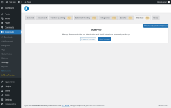 Page screenshot: Downloads → Settings → License PAID