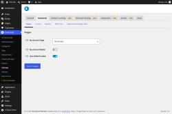 Page screenshot: Downloads &rarr; Settings &rarr; Advanced
