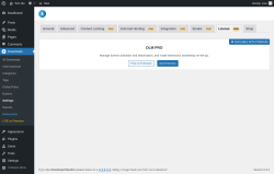 Page screenshot: Downloads → Settings → License PAID