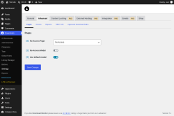 Page screenshot: Downloads &rarr; Settings &rarr; Advanced