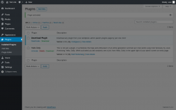 Page screenshot: Plugins &lsaquo; Test site &mdash; WordPress